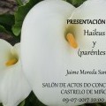 Presentacin do poemario Haikus y (parntesis) de Jaime Moreda Santamara