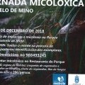 XORNADA MICOLXICA EN CASTRELO DE MIO